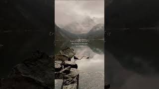 You Are the Universe - Alan Watts