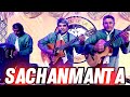 Sachanmanta - Festival Dorado de la Algarroba 2023 (Herrera) #villaatamisqui