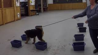 Cella Level 1 Week 3 Round 1