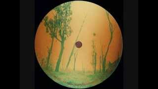 Fulbert - Meditation In A Forest Of Shimmering Mirrors (CITY05)
