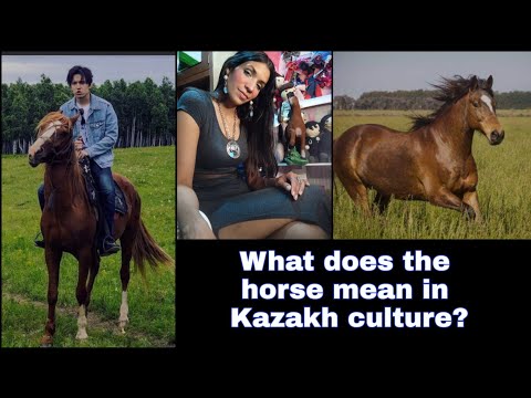 The horse as a symbol of Kazakh identity. Dimash culture. Informative video.Subtitle