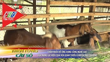 Chăn nuôi dê ứng dụng công nghệ cao vừa mang lại hiệu quả vừa giảm thiểu ô nhiễm môi trường