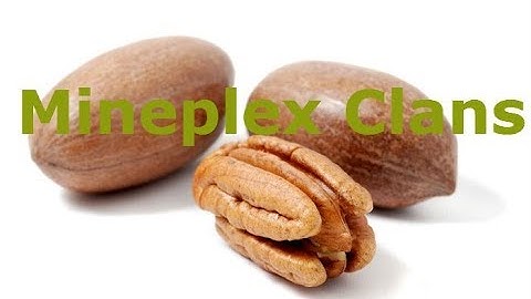 mineplex clans in a nutshell~
