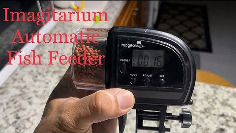 Imagitarium Automatic Fish Feeder Flowerhorn + OKiko Head up Hucher