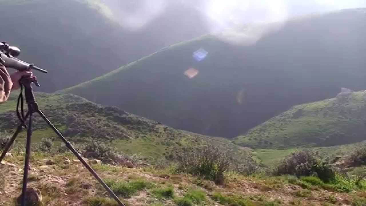 Exotic Hunting Testimonial Bitterwater Outfitters 8056104521 YouTube