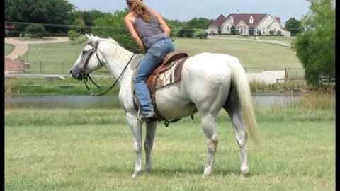 Frank  ***For up-to-date info, price, etc., go to our website***