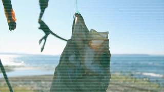 Dance 2002 Trauma Project - Hoping To Meet You Original Mix