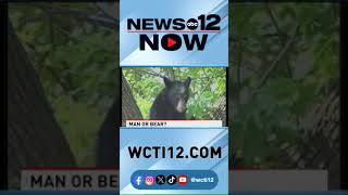 Man or bear #question sweeping the internet