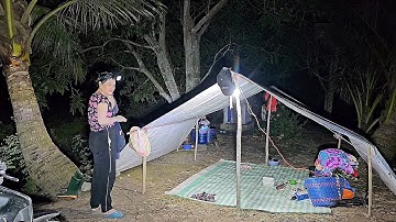 Bẫy Chuột Xa Nhà, Bẫy Theo Hàng Xoài Khi Đồng Vừa Cắt #vợchồngmiềntâytv