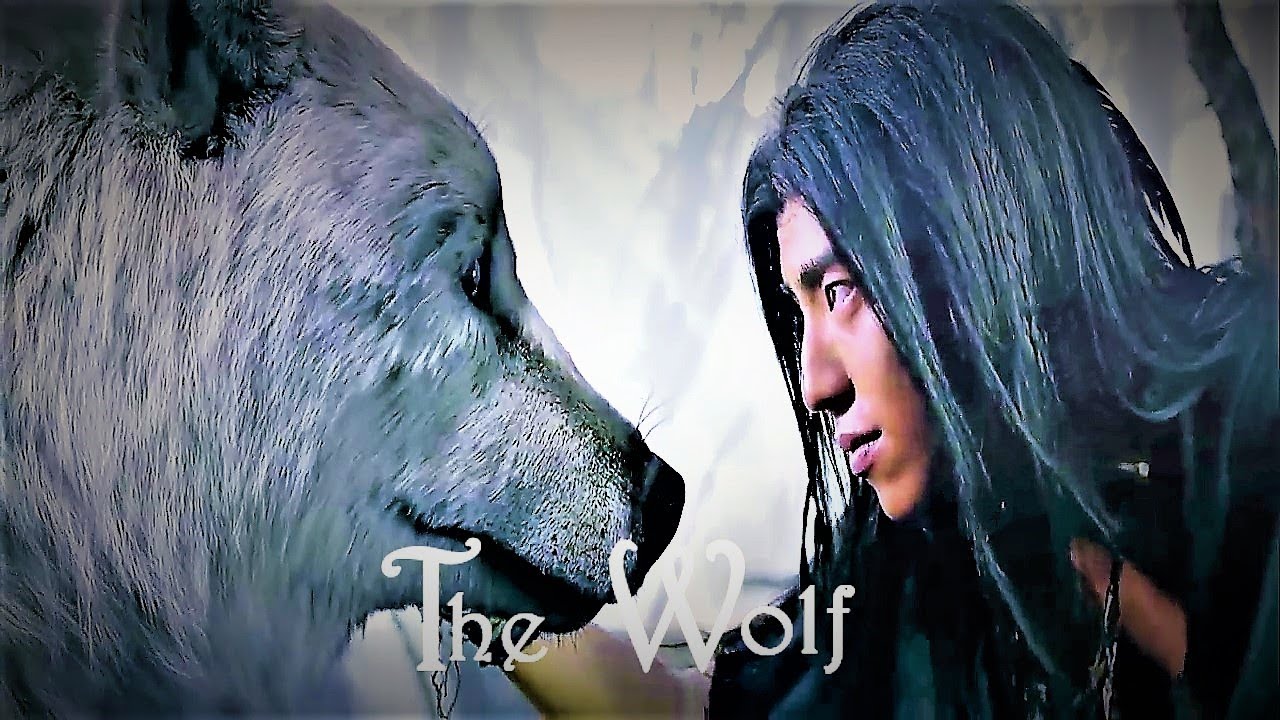 [OFFICIAL] The Wolf 狼殿下 || The Majesty Of Wolf || Upcoming Drama ...