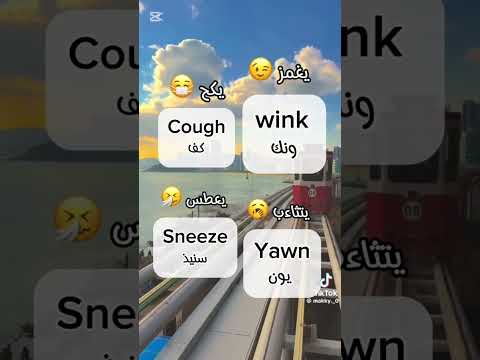 تعلم إنجليزي كل يوم من الصفر مع زول ليدر