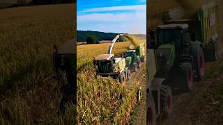 Vw_agro🤩__#fendttractor _#fendtpower _#feedshorts _#containerboer_#maishacken_#maishäckseln_#viral