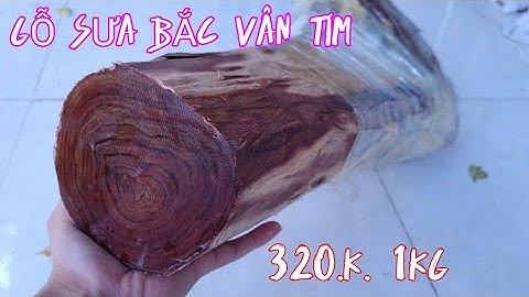 Gốc Gỗ Sưa Bắc Vân Tím Đen Cho AE Đục Tượng - Chất Gỗ Vân Gỗ Quá Đỉnh - Cây Sưa Hơn 20 Năm Tuổi