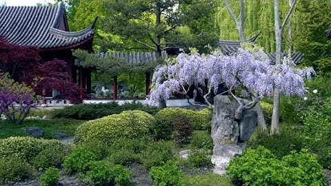 Hortus Botanicus - Verborgen Rijk van Ming