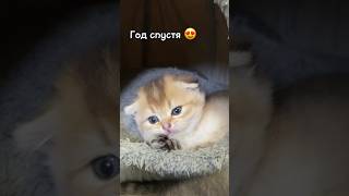 Тиса - Сайма 😊