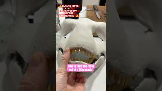 How to take the teeth out of a Dino mask! #antizoo #dinomask #furries #fursona #dinomaskfurry