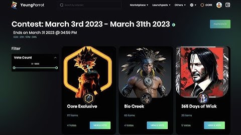 How to mint Youngparrot NFT and withdraw to Metamask (YPT)