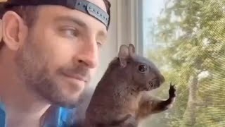 The Dark Story Behind Peanut the Squirrel #peanutthesquirrel