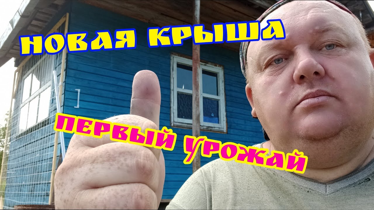 Новая крыша первый урожай Дача. Торжок. Тверская область Купил ...