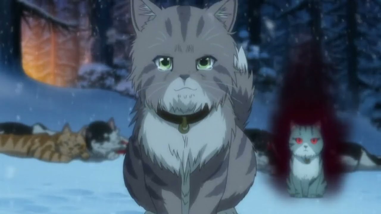 Randy the Fluffy Cat & His Sister