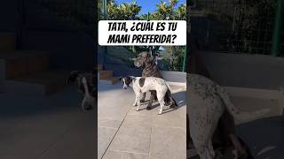 Tienen muy claro a quién eligen 😅