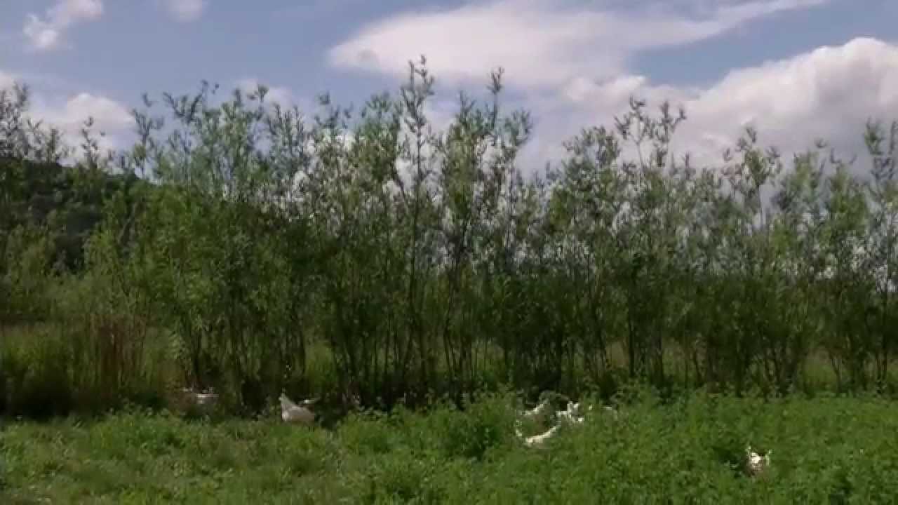 Das Hofgut Martinsberg - biofair und regional