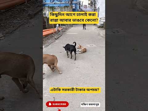 দক্ষিণ কমলাপুরে ঢালাই করা রাস্তা আবার ভাঙবে কেনো? #youtubeshorts #dhakanews #governmenttender #dhaka