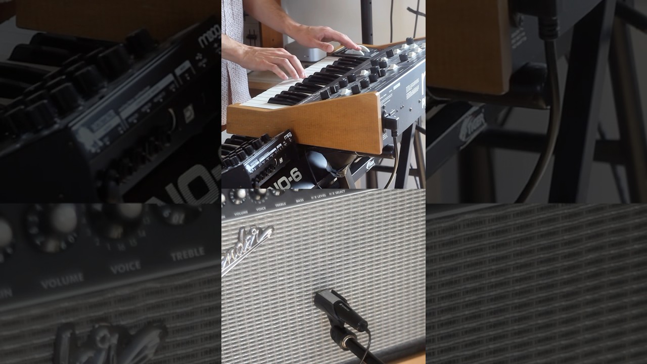 Budget Vintage Microphones. Which sounds best? 