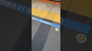 【JR東日本】横須賀線 戸塚駅1番線 発車メロディ『木もれ陽の散歩道』