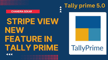 Stripe view new feature in Tally prime 5.0