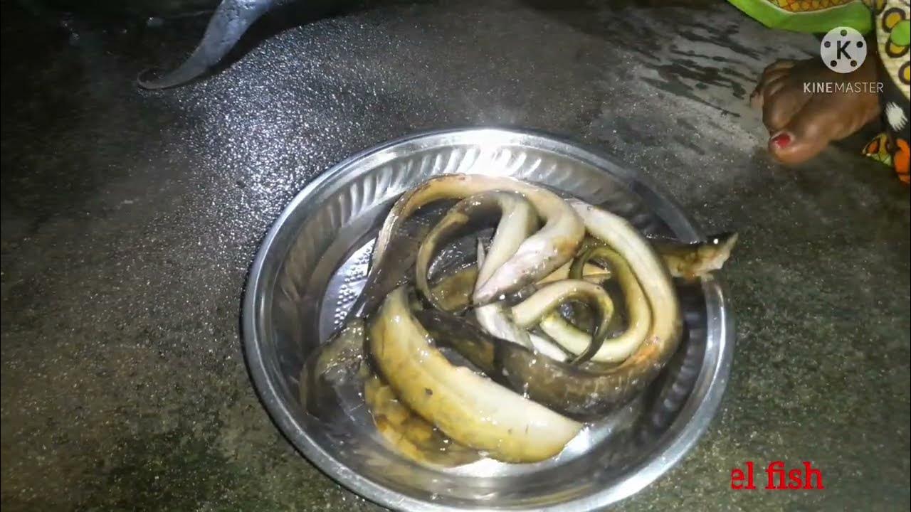 Eel fish recipe Yummy cooking eels recipe How to make eel fish
