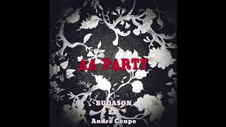 Budason-AA PARTY
