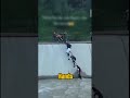 Human Chain Saves Dog From Rushing Water — Real Heroes #shorts