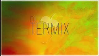DJ Termix - Fading Lights