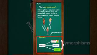 Celebrity Day 33: Java Coding for Beginners | Polymorphism Explained | OOPs Concept #shorts Wealth