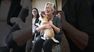 A Story of Dogs Choose Their Humans😭 #dog #adoptme #emotional #viralvideo #animallovers