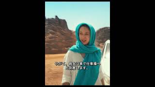 #映画紹介 #tv #映画鑑賞 #film #映画レビュー #fypシ