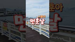 나훈아의 먼훗날 부산항만공사 앞 선착장에서 그옛날 추억을 회상하며 감상해 봅니다.  #shorts #부산파파 #bspapa #트로트 #미스터트롯2 #여행 #travel #kpop