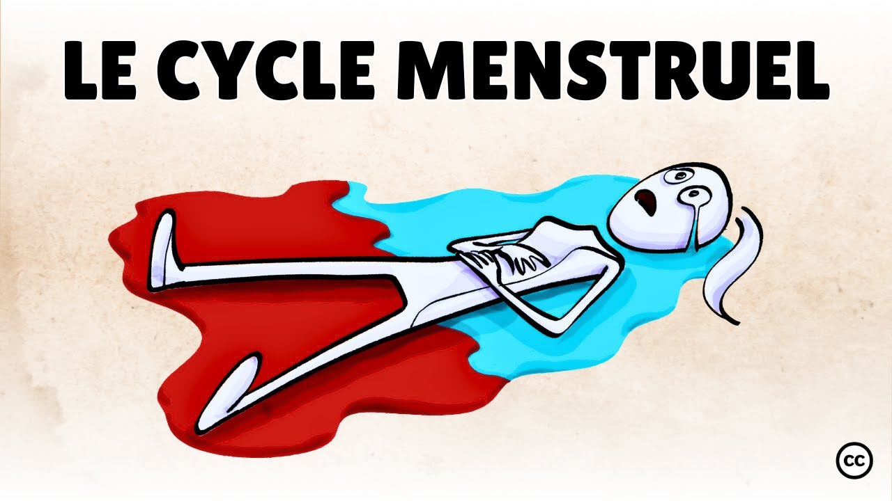 L'impact du cycle menstruel sur les adolescentes