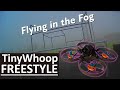 F(###) for Fog... And FPV Freestyle! - 4 months of FPV