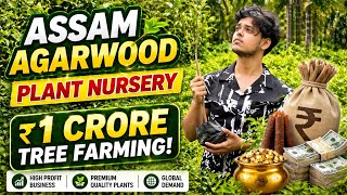 ₹1 Lakh Tree? Agarwood (Aquilaria Malaccensis) 🌱 High Profit Farming | Buy Plants Now