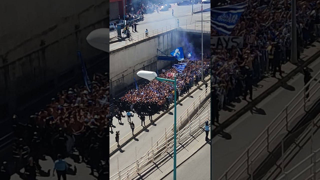Chegada da claque do FC Porto ao Estádio da Luz - Abril 2023