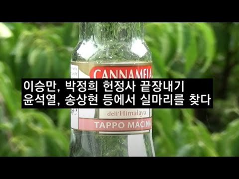 이승만, 박정희 헌정사 끝장내기 _윤석열, <strong>송상현</strong> 등에서 실마리를 찾다