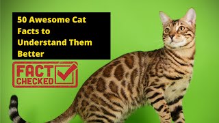 50 Awesome Cat Facts to Understand Them Better by Summary Facts 313 views 10 months ago 7 minutes, 11 seconds