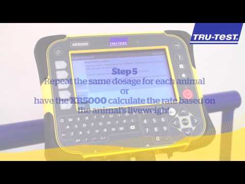 How to record animal health treatments for compliance - XR5000 ǀ Tru-Test