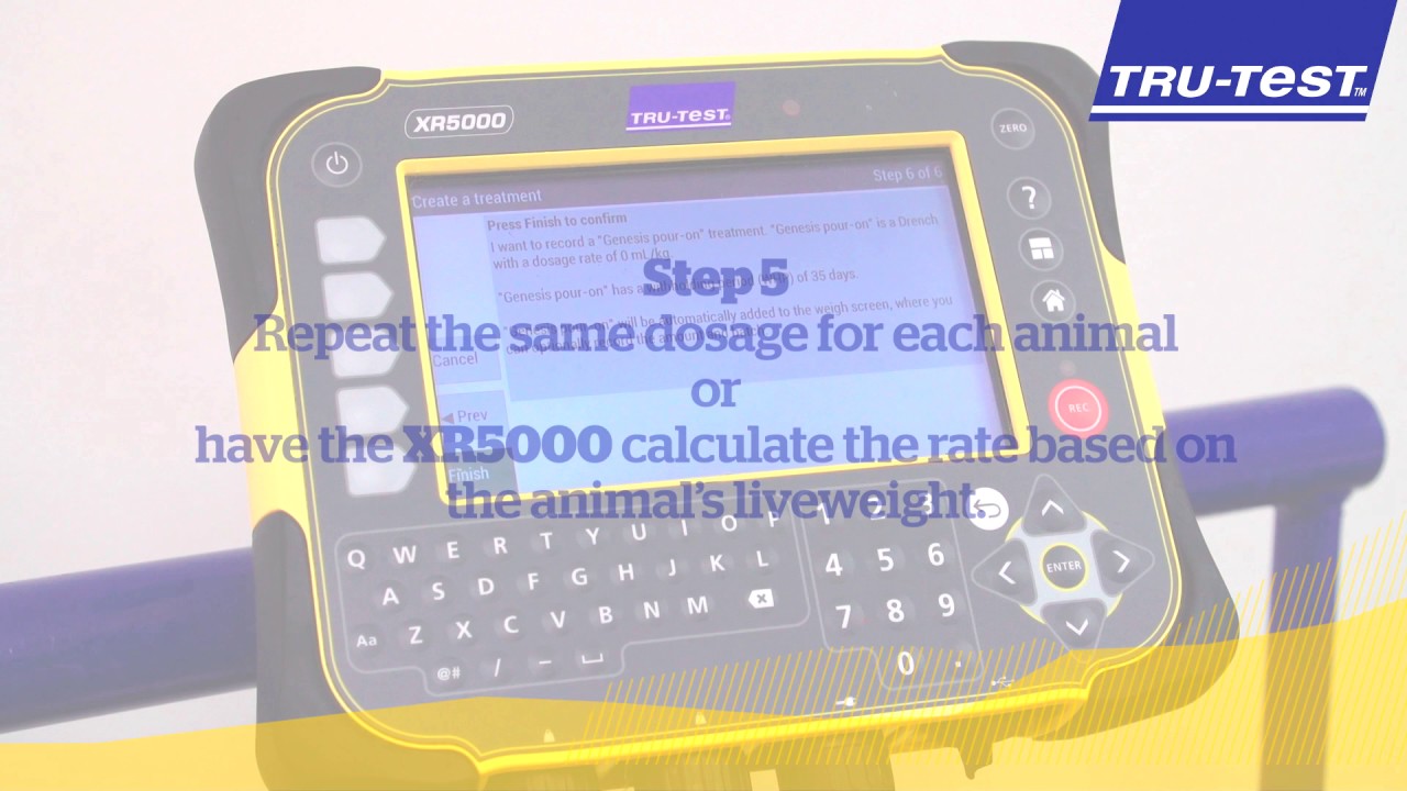 How to record animal health treatments for compliance XR5000 ǀ TruTest YouTube