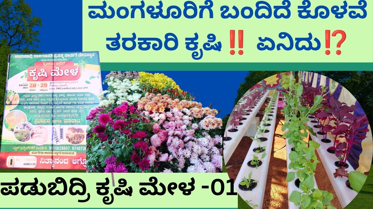 hydroponic ಕೃಷಿ ಏನಿದು ಇಸ್ರೇಲ್ ಮಾದರಿ ⁉️ ನಮ್ಮ ಎಲ್ಲಾ ಕೈತೋಟದ ಪರಿಕರಗಳು ಮತ್ತು ಗಿಡಗಳು ಇಲ್ಲಿ ದೊರೆಯುತ್ತವೆ
