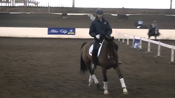 Charlie Hutton -- Collection