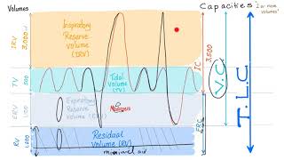 Pulmonary Function Tests (PFTs)  Spirometry  Lung Volumes & Capacities Made Simple  Physiology