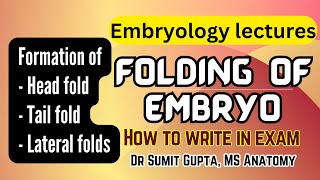 Folding of embryo | General embryology